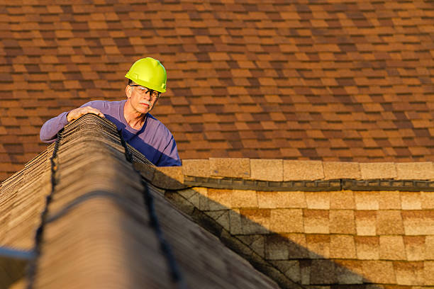 Best Roof Gutter Cleaning  in Friedens, PA